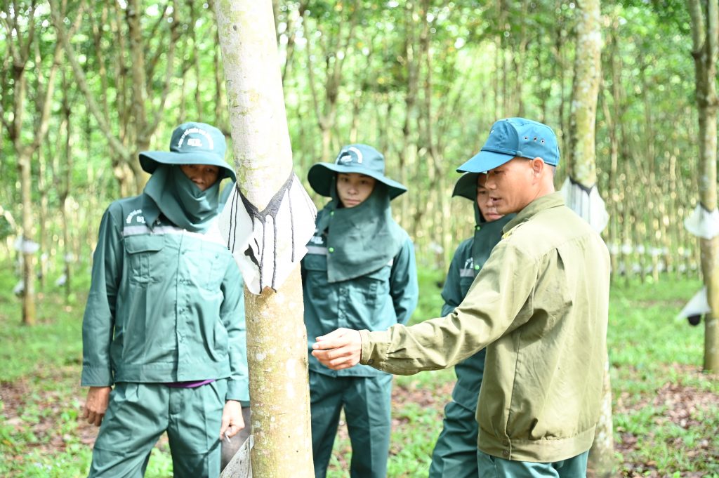15 năm trên vùng đất phi truyền thống Kỳ 2: Diện mạo mới trên các bản vùng dự án